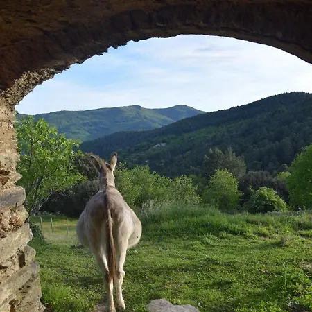 Lou Rey Eco Hameau - Gite, D'hotes & Table D'hotes Penzion