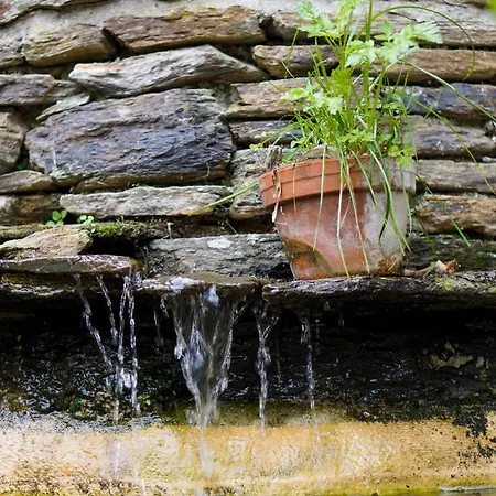 Lou Rey Eco Hameau - Gite, D'hotes & Table D'hotes Pensjonat Le Collet-de-Dèze