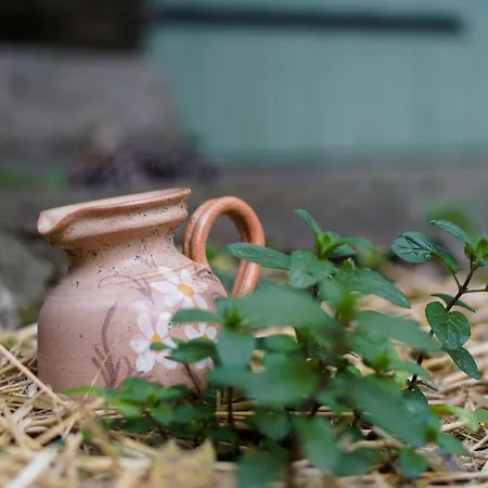 Affittacamere Lou Rey éco Hameau - Gîte, D'hôtes&table D'hôtes 3*