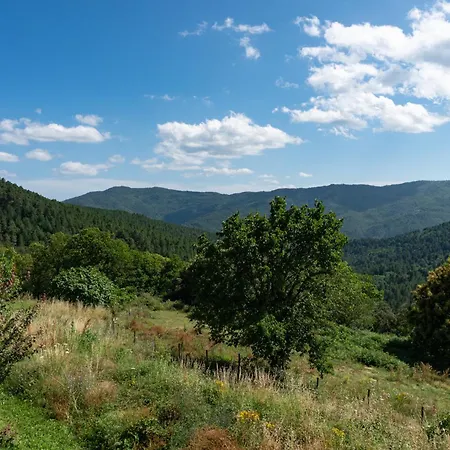 Lou Rey éco Hameau - Gîte, D'hôtes&table D'hôtes Le Collet-de-Dèze